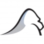 Silverback Strategies company