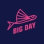 Big Day the Agency company