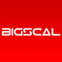 Reviews Bigscal Technologies Contact, Price Bigscal Technologies Pvt. Ltd. company